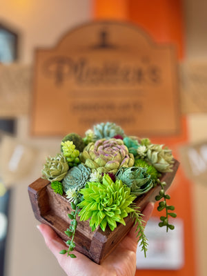 WOOD SUCCULENT WORKSHOP - PLANTER