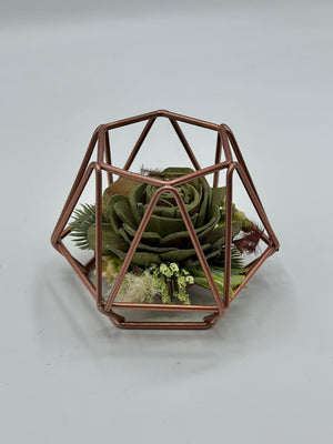 Mini Geometric (Succulent)